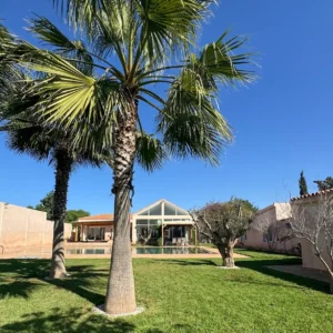 Villa avec palmiers, jardin et piscine pour une retraite bien-être au Maroc