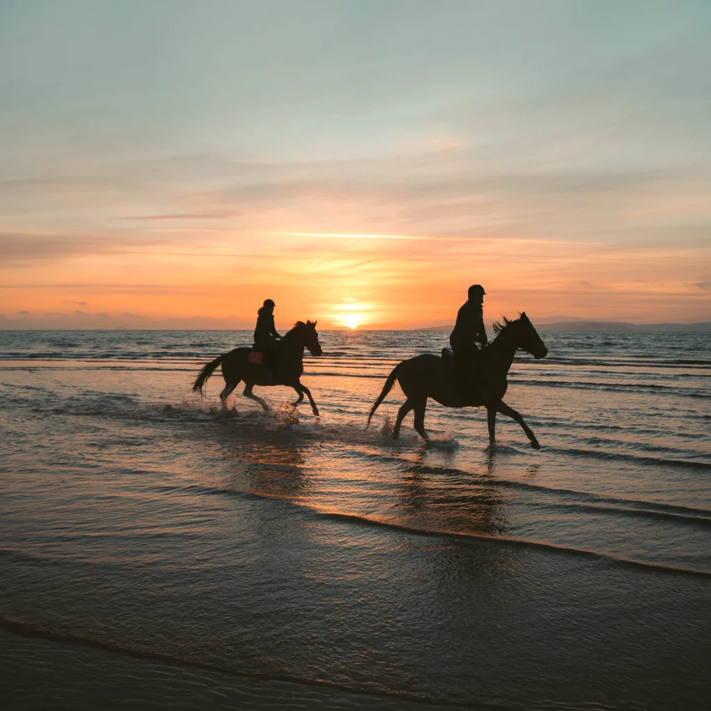 Deux cavaliers chevauchent au bord de l’océan, baignés par la lumière dorée d’un coucher de soleil. Cette activité fait partie des expériences proposées durant la retraite bien-être Ômri à Tamaris, au Maroc. Elle invite à ralentir, se reconnecter à la nature et vivre un moment de liberté totale, entre ciel et mer. Accessible à tous les niveaux, cette balade à cheval s’inscrit dans un programme alliant relaxation, déconnexion et reconnexion à soi.